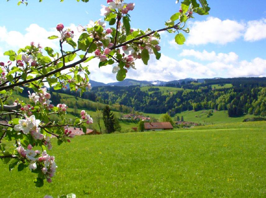 Blick vom Biohof Mayer