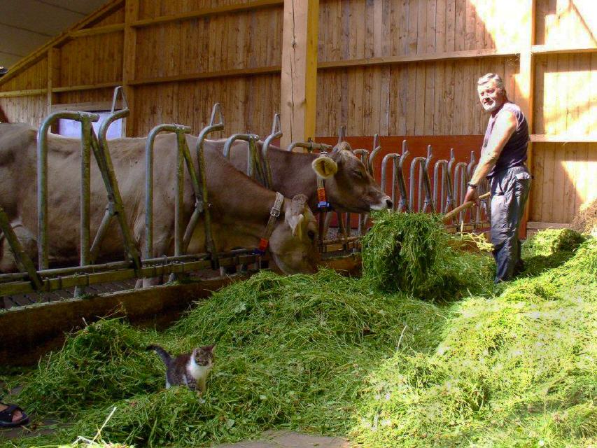 Stallarbeit am Biohof Mayer